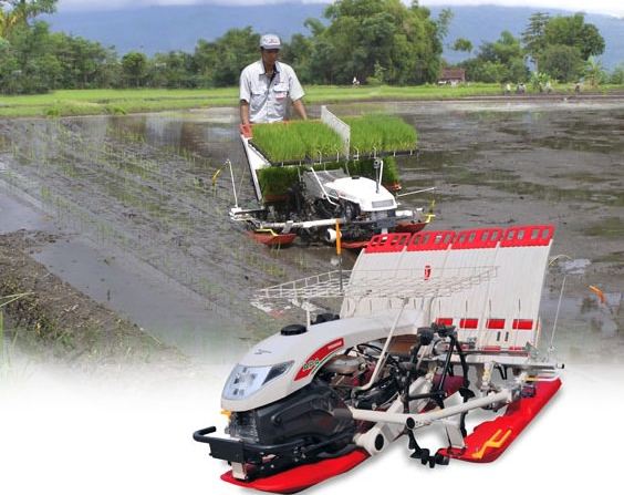 yanmar-ap4-rice-transplanter-2
